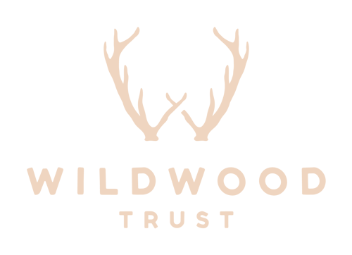 logotipo de wilwood