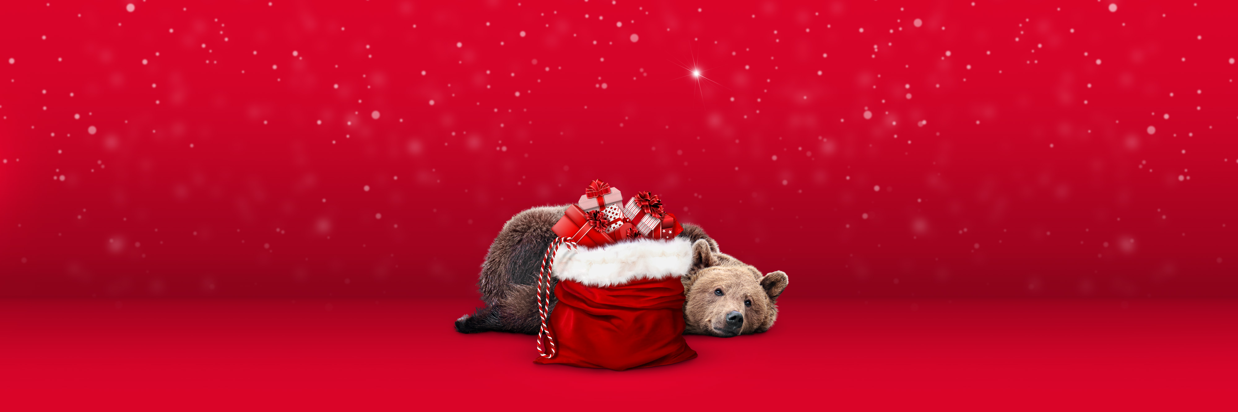 Christmas Appeal Banner