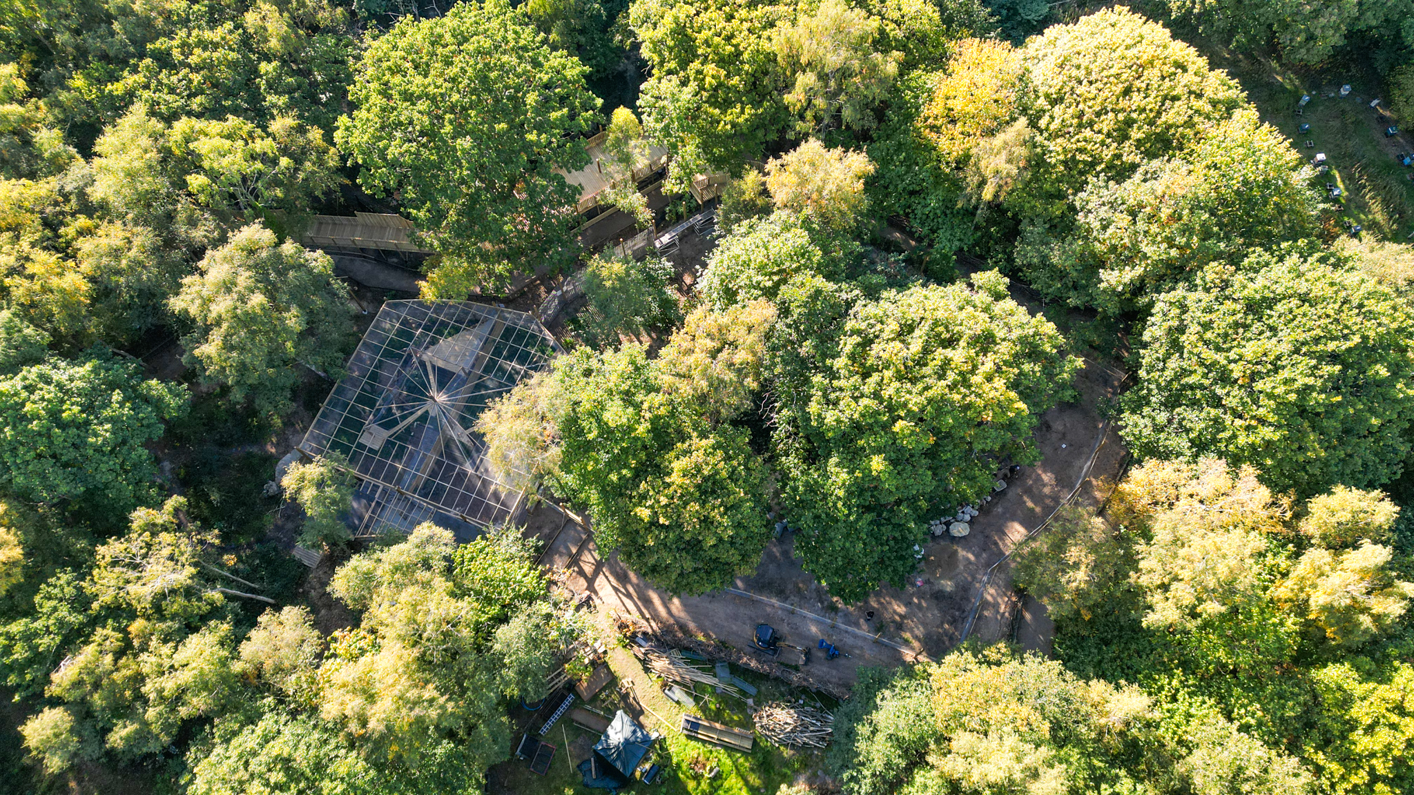 2025.11.01 LYNX BUILD CREDIT HARDING LEE MEDIA 5