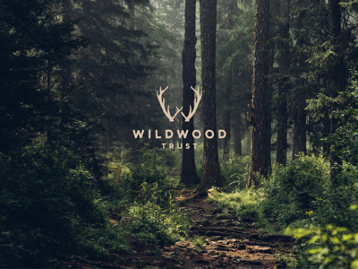 Wildwood Styled Image 1