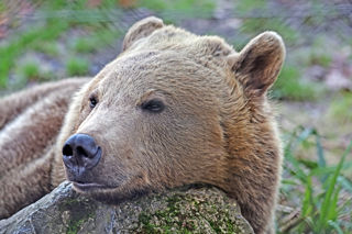 2024.01.13 Boki 1