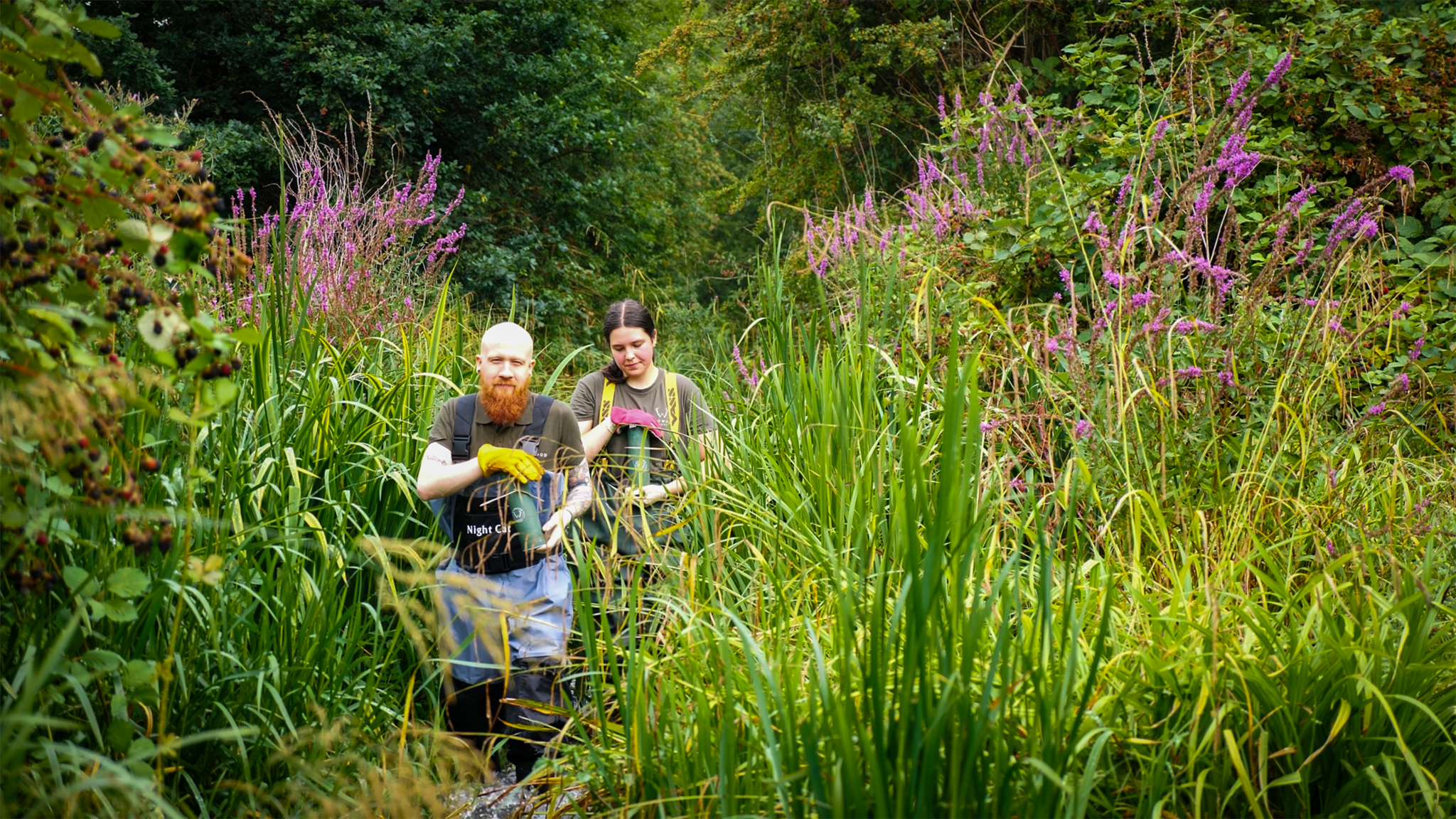 Water Vole Release Credit Wildwood Trust Harding Lee Media 6