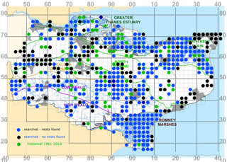 Kent Harvest Mouse Survey Final Survey 2020
